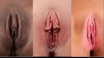 Tipos de vajinas