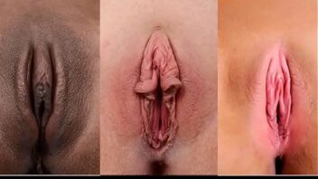 Formas de vaginas