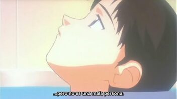 Neon genesis evangelion cap 1 sub español