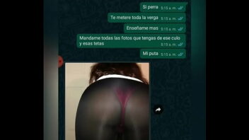 Conversación WhatsApp