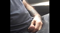 Dick flash in car